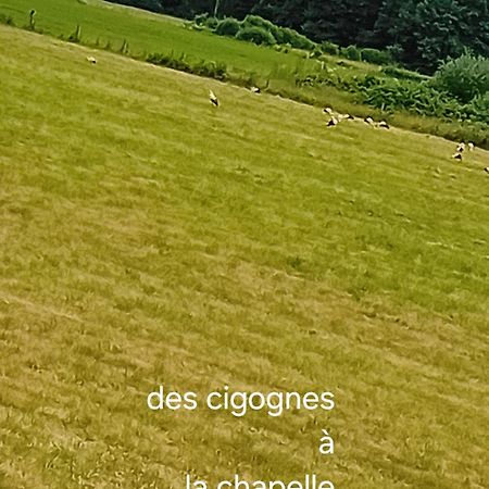 شقة Guiguitte La Chapelle-les-Luxeuil المظهر الخارجي الصورة